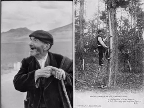 貝雷帽究竟要怎么選才好！